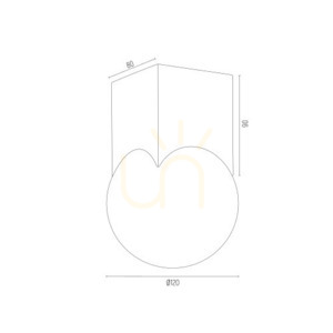 Deckenleuchte ARGON AUSTIN opal matt Messing gebürstet E14 4712 small 3