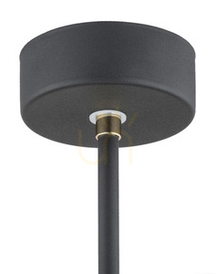 Pendelleuchte ARGON CHARLOTTE schwarz messing E27 4686 small 4