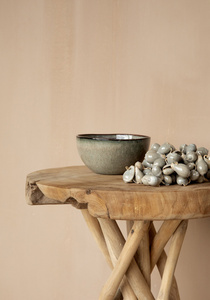 Die graue Muschelquaste small 2