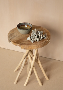 Die graue Muschelquaste small 4