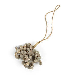 Die graue Muschelquaste small 5