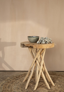 Die graue Muschelquaste small 7