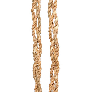 Die Vanille-Muschel-Quaste 3 Die Vanille-Muschel-Quaste small 3