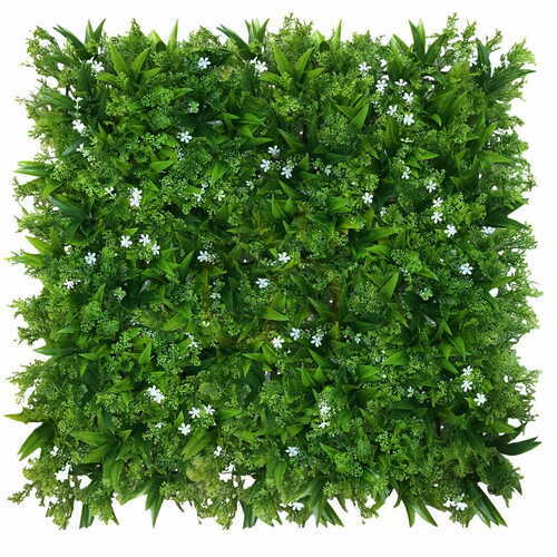 Prüfen Grüne Wand Hornblume 40x60cm