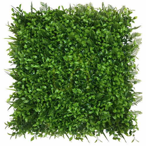 Prüfen Ulme grün Wand 40x60cm