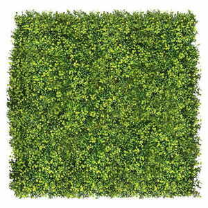 Grüne Wand Grainflower 40x60cm small 1