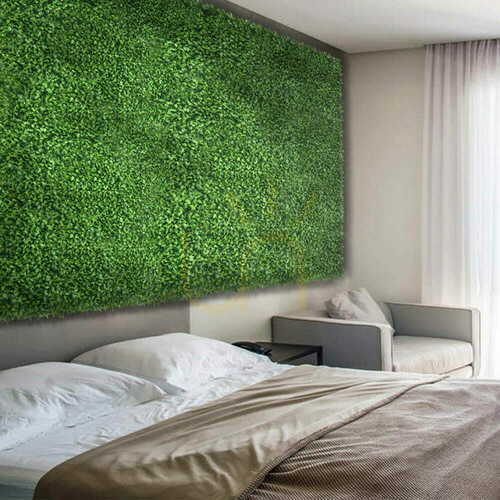 Prüfen Honkenia grüne Wand 40x60cm