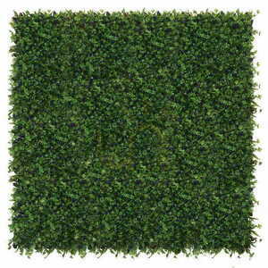 Grüne Wand Glycine 40x60cm small 1