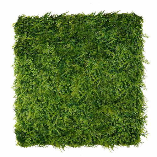 Prüfen Wronóg grüne Wand 40x60cm