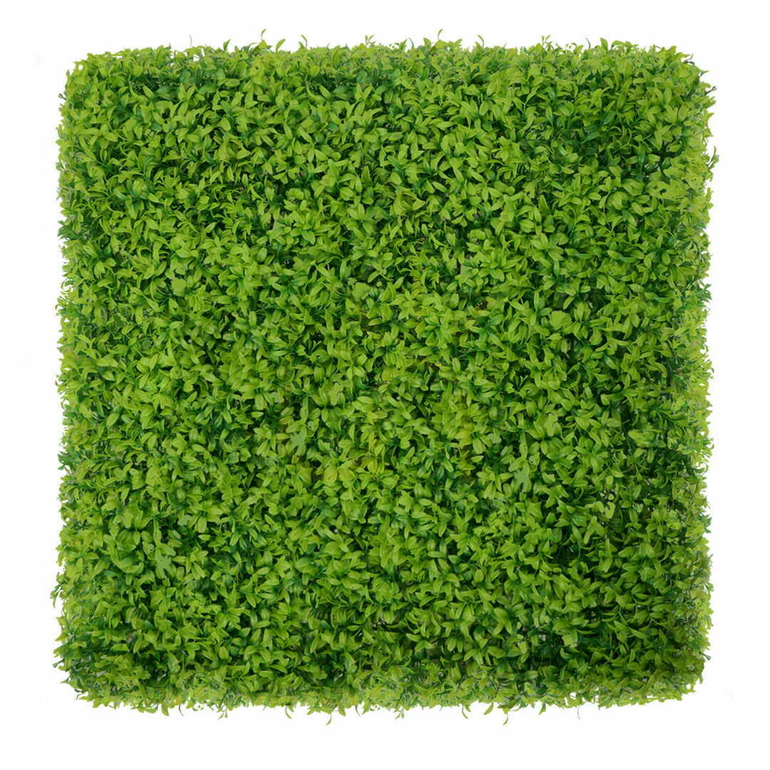 Buxus green wall 40x60cm