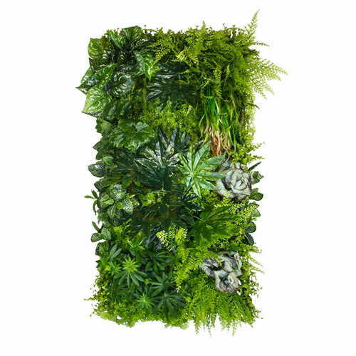 Prüfen TROPICAL 0,5 m² Vertikaler Garten - Handgefertigt