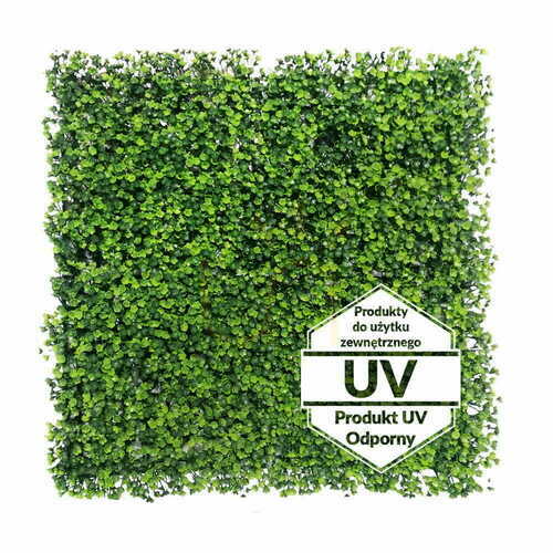 Prüfen Künstliche grüne Pflanzenmatte Rzęsa UV 50x50cm