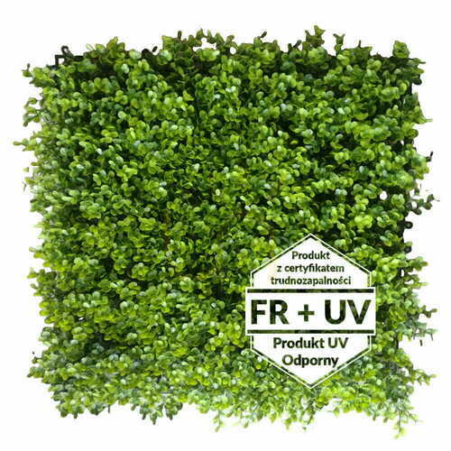Prüfen Künstliche grüne Matte Blueberry FR UV 50x50cm
