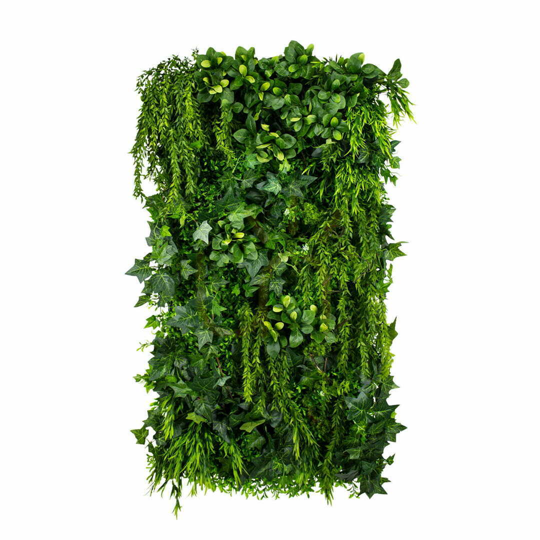 Vertikaler Garten mit grünem Efeu