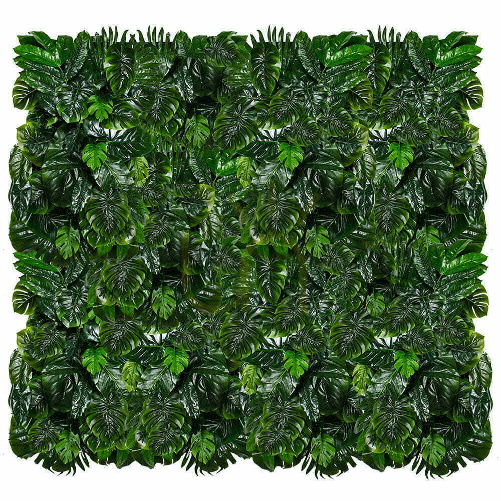 Vorschau Vertikaler Garten Monstera Madness Vertikaler Garten Monstera Madness