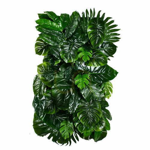 Prüfen Vertikaler Garten Monstera Madness