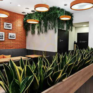 Vertikaler Garten Wildgrass FR UV small 7