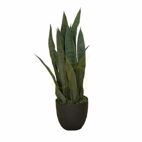 Prüfen Kunstpflanze Sansevieria Zelenica 65cm