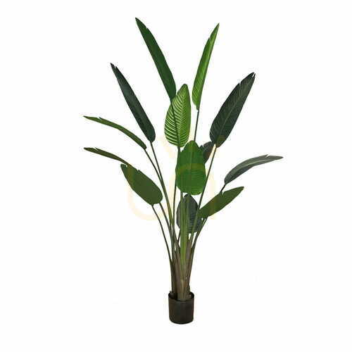 Prüfen Künstliche Topfpflanze Strelitzia 180cm