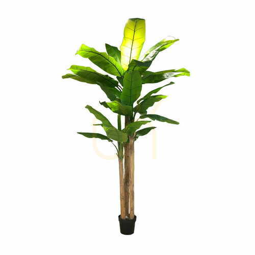 Prüfen Künstlicher Bananenbaum 250cm
