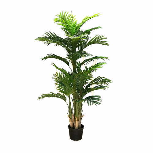 Prüfen Künstliche Ravenea-Palme dekorativer Baum 180cm