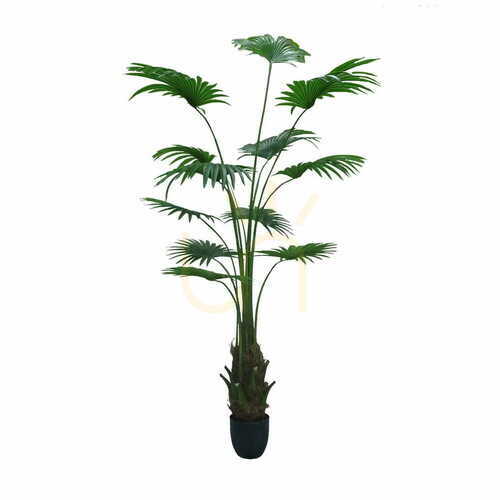 Prüfen Künstliche Palme im Topf Washingtonia Robusta 200cm