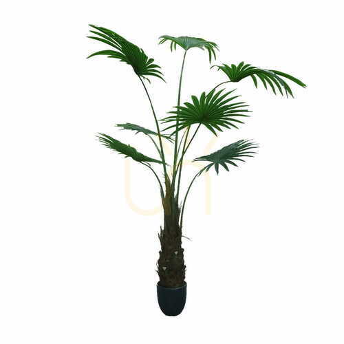 Prüfen Künstliche Palme im Topf Washingtonia Robusta 180cm