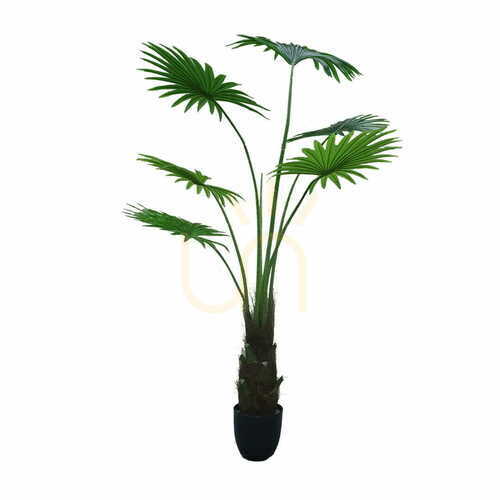 Prüfen Künstliche Palme im Topf Washingtonia Robusta 160cm