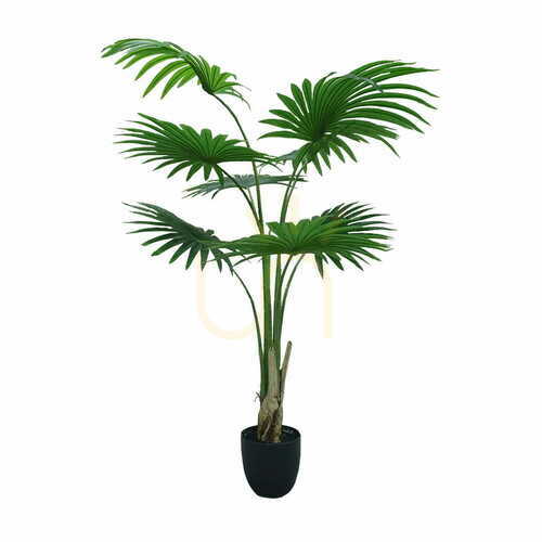 Prüfen Künstliche Topfpflanze Washingtonia Robusta 160cm - Handgefertigt