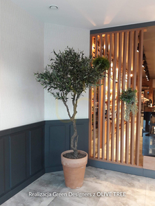 Künstlicher Olivenbaum Olive 205cm small 2