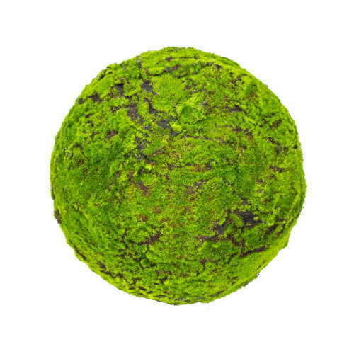 Prüfen Großer Moosball 45 cm