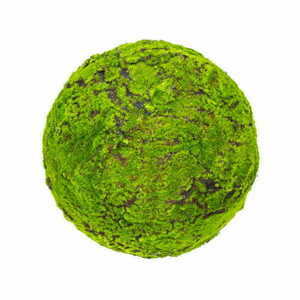 Großer Moosball 45 cm small 0