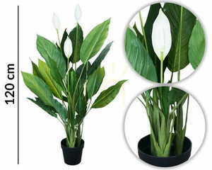 Dekorative Pflanze Wingflower 120cm small 1