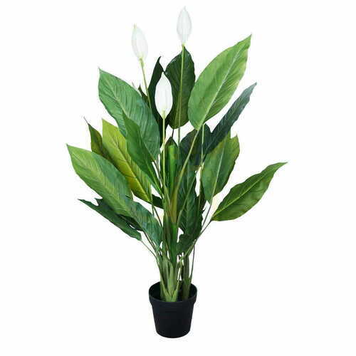 Prüfen Dekorative Pflanze Wingflower 120cm