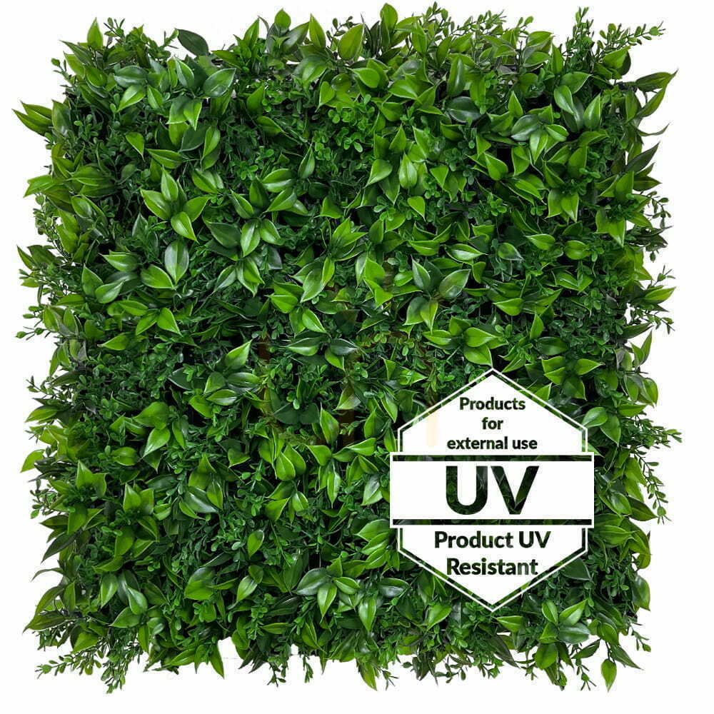Aussicht Künstliche grüne Matte Berberis UV 50x50cm Künstliche grüne Matte Berberis UV 50x50cm