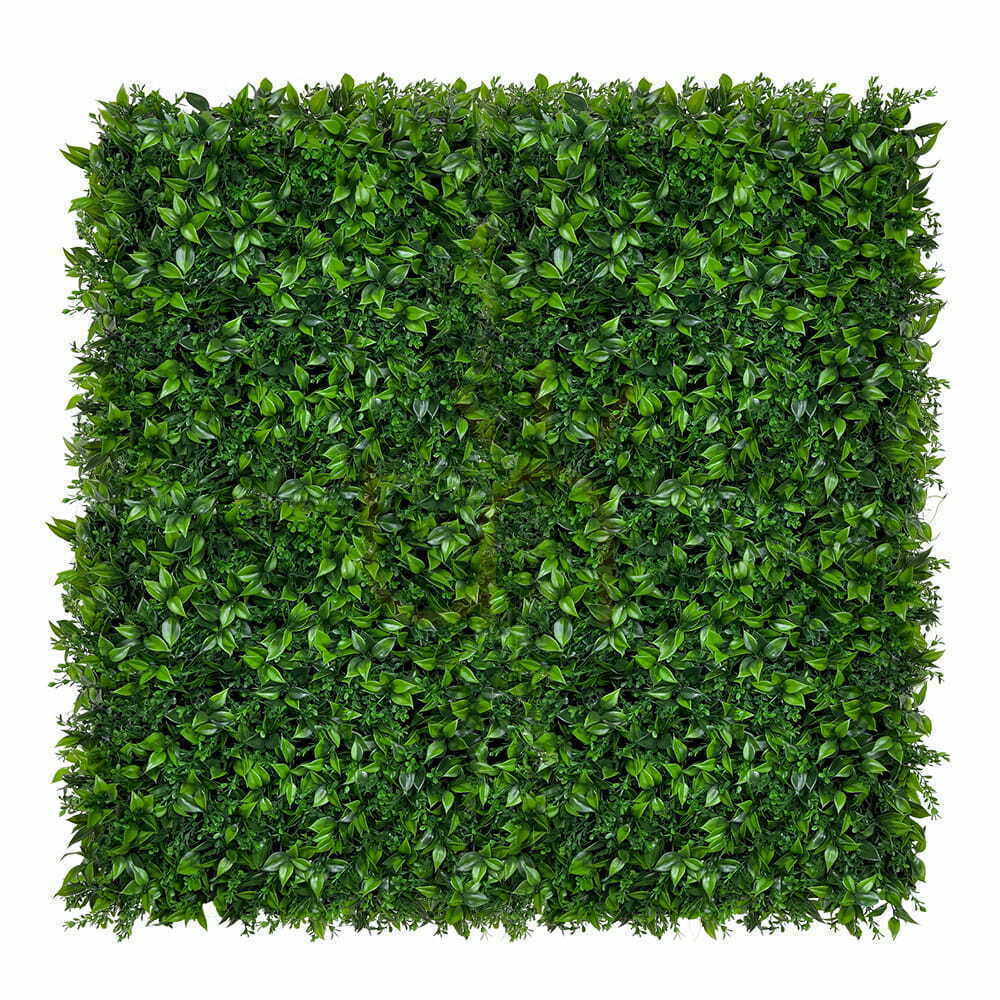 Anzeige Künstliche grüne Matte Berberis UV 50x50cm Künstliche grüne Matte Berberis UV 50x50cm