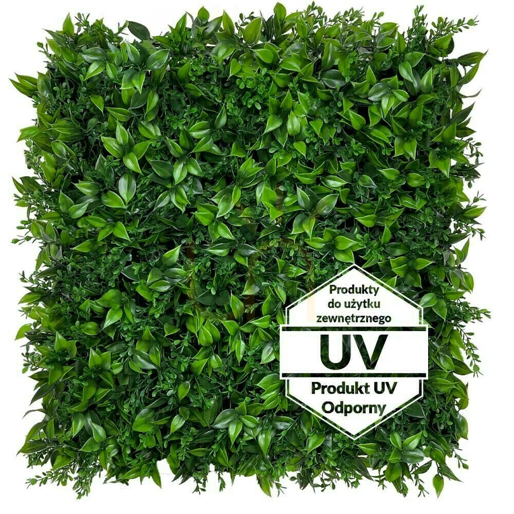 Prüfen Künstliche grüne Matte Berberis UV 50x50cm Künstliche grüne Matte Berberis UV 50x50cm