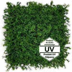 Künstliche grüne Matte Winged UV 50x50cm 0 Künstliche grüne Matte Winged UV 50x50cm small 0