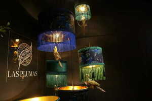 CARBONERO N°1 Las Plumas small 6