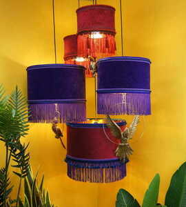 MARTIN N°1 Las Plumas small 6