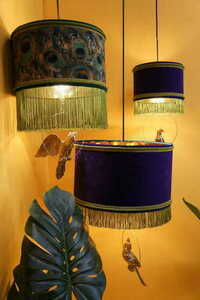 NOONU Las Plumas 1 NOONU Las Plumas small 1