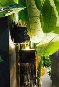 Jose Las Plumas 4 Jose Las Plumas small 4