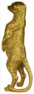 TONY Las Plumas small 4