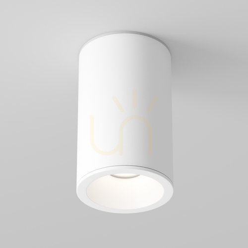 Prüfen Plafond ZOOM C029CL-01-S-W IP54 Maytoni
