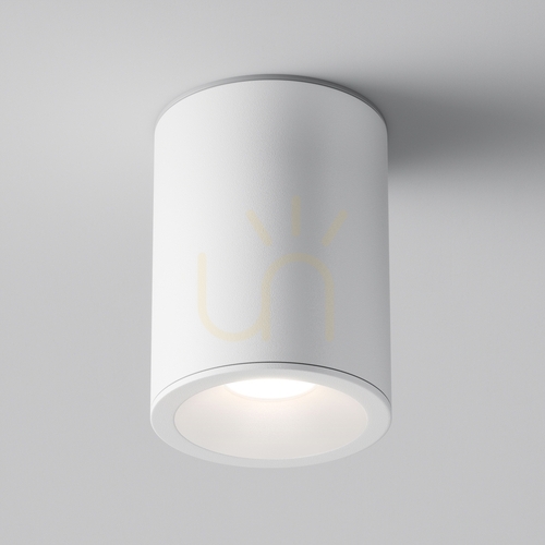 Prüfen Plafond ZOOM C029CL-01W IP54 Maytoni