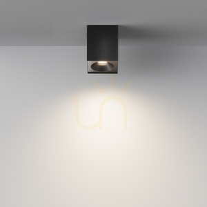 Plafond ZOOM C030CL-01B IP54 Maytoni small 4