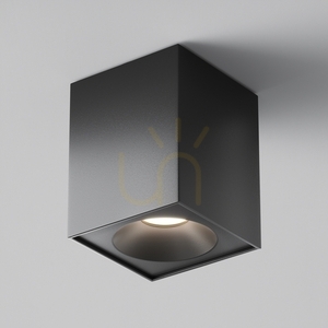 Plafond ZOOM C030CL-01B IP54 Maytoni small 0