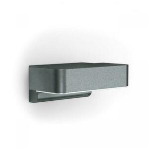 LED-Außenwandleuchte L 800 C anthrazit mit BLUETOOTH small 0