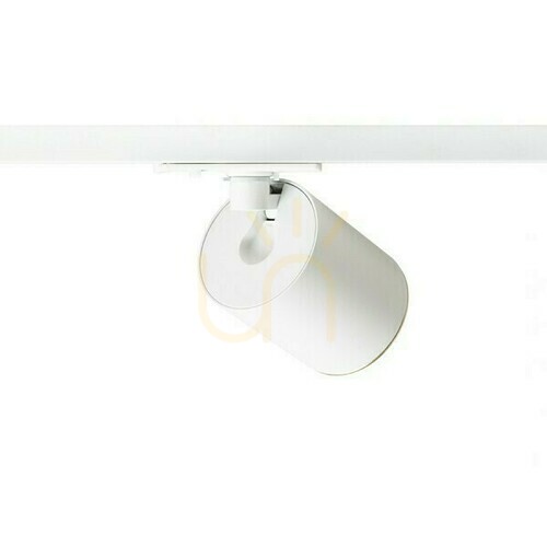 Prüfen Dario Spotlight für 1 Phase. Schienen Weiß gebürstetes Messing 230 V Gu10 9 W.