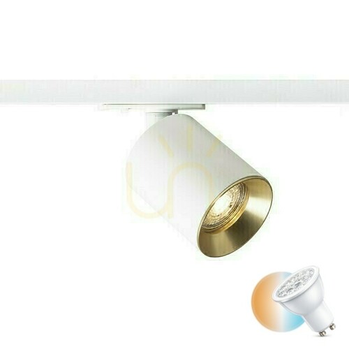 Prüfen Dario Spotlight für 1 Phase. Schienen Weiß gebürstetes Messing 230 V Gu10 9 W.